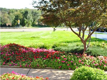 Lawn care & snow removal